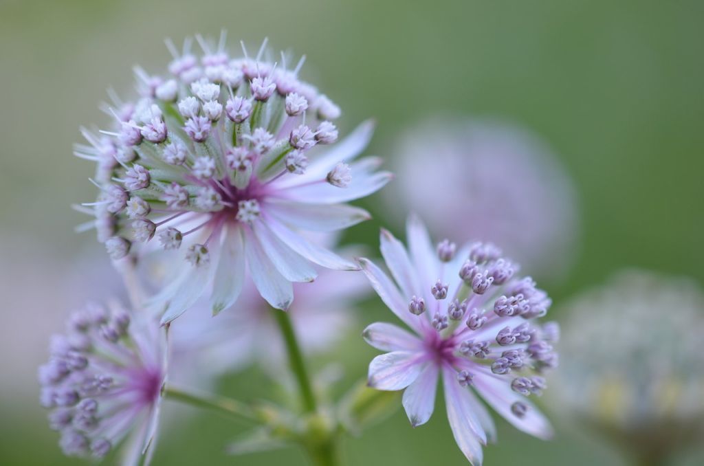 Imagen de la noticia: Calendario de días inhábiles del BOP para 2024 ...
