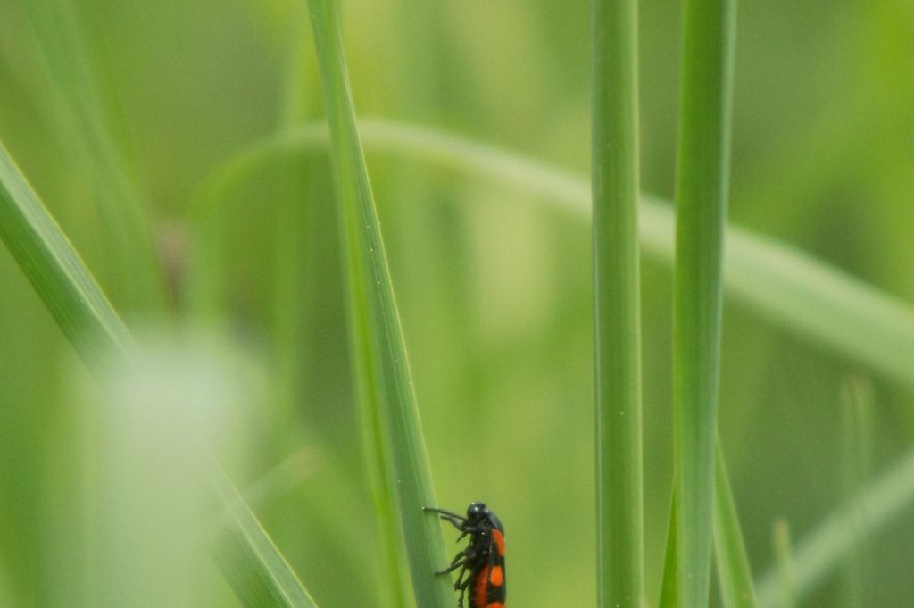 Imagen de la noticia: Aprobado el Reglamento de Evaluación del Desempe� ...