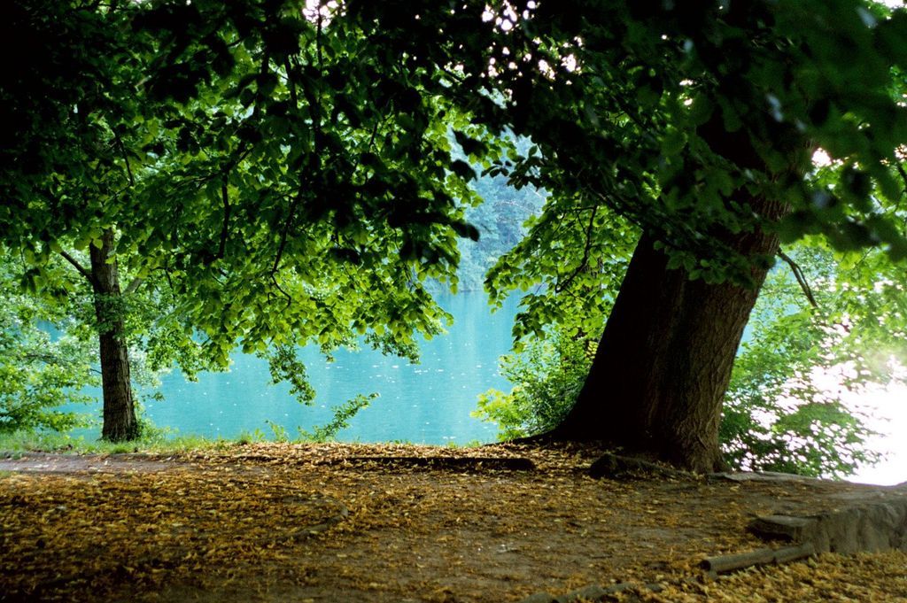 Imagen de la noticia: Subvenciones públicas en especie, equipos de prot ...