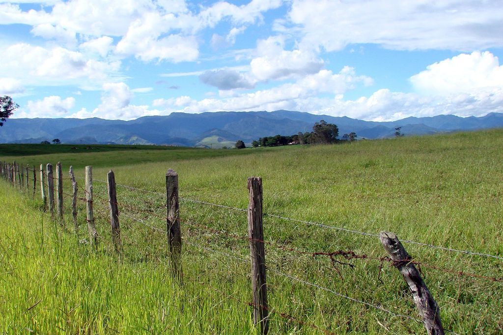 Imagen de la noticia: La Diputación de Badajoz participante en el Foro  ...