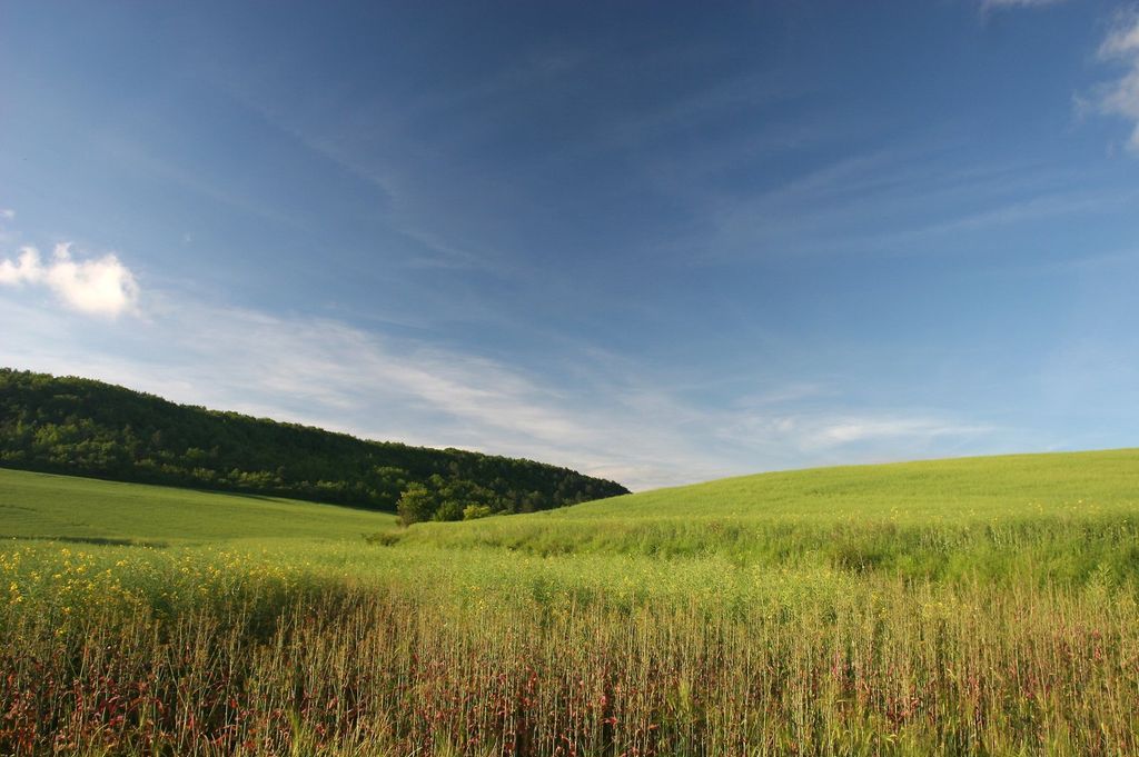 Imagen de la noticia: La Diputación de Badajoz participante en el Foro  ...